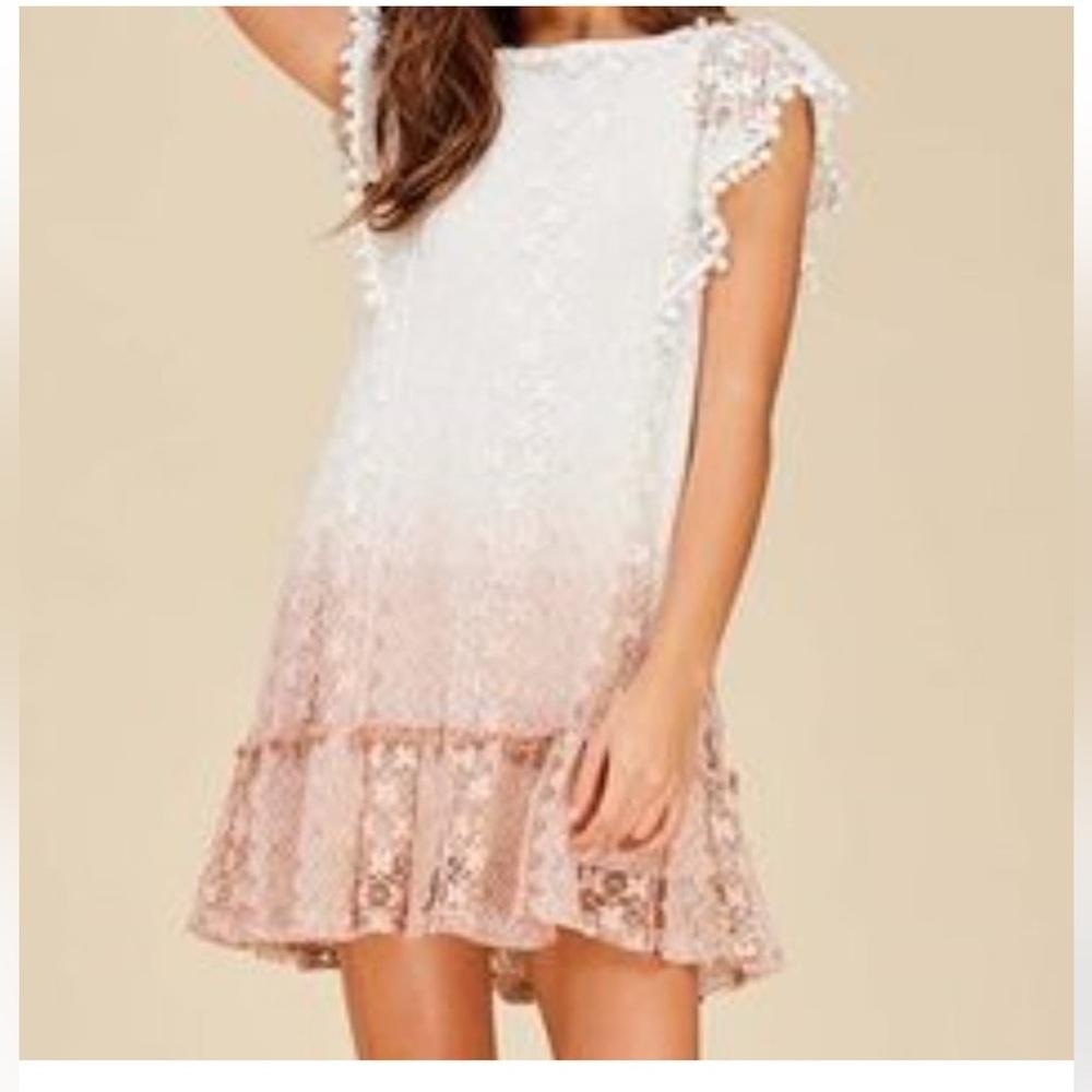 Listicle Victorian Lace Dress, Pink Ombré, Size Medium, Slip Lined, Short Sleeve - Picture 2 of 12